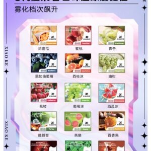 XIAOKE 可替換式電子煙 (相容 RELX6代) (常備款)